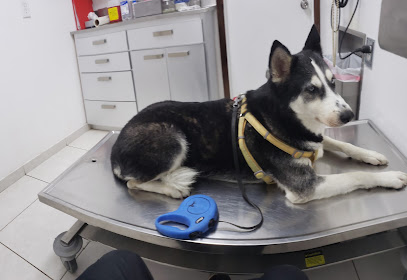 Profauna Hospital Veterinario 24 Horas