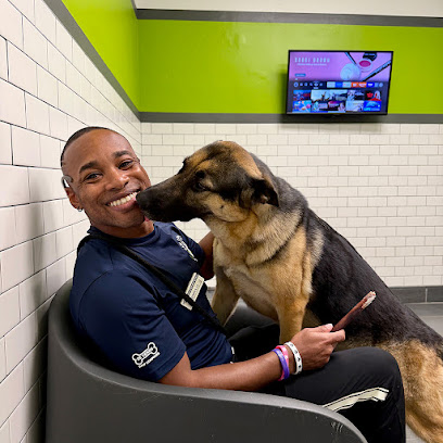 Paw Commons Pet Resort & Training Center - Bay Park