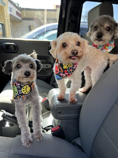 Le Dog Barber - Pet Shop in San Diego