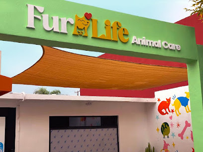 FurLife Animal Care