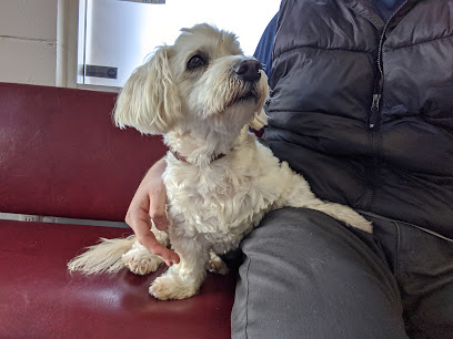 San Carlos Animal Hospital - Pet Shop in San Diego
