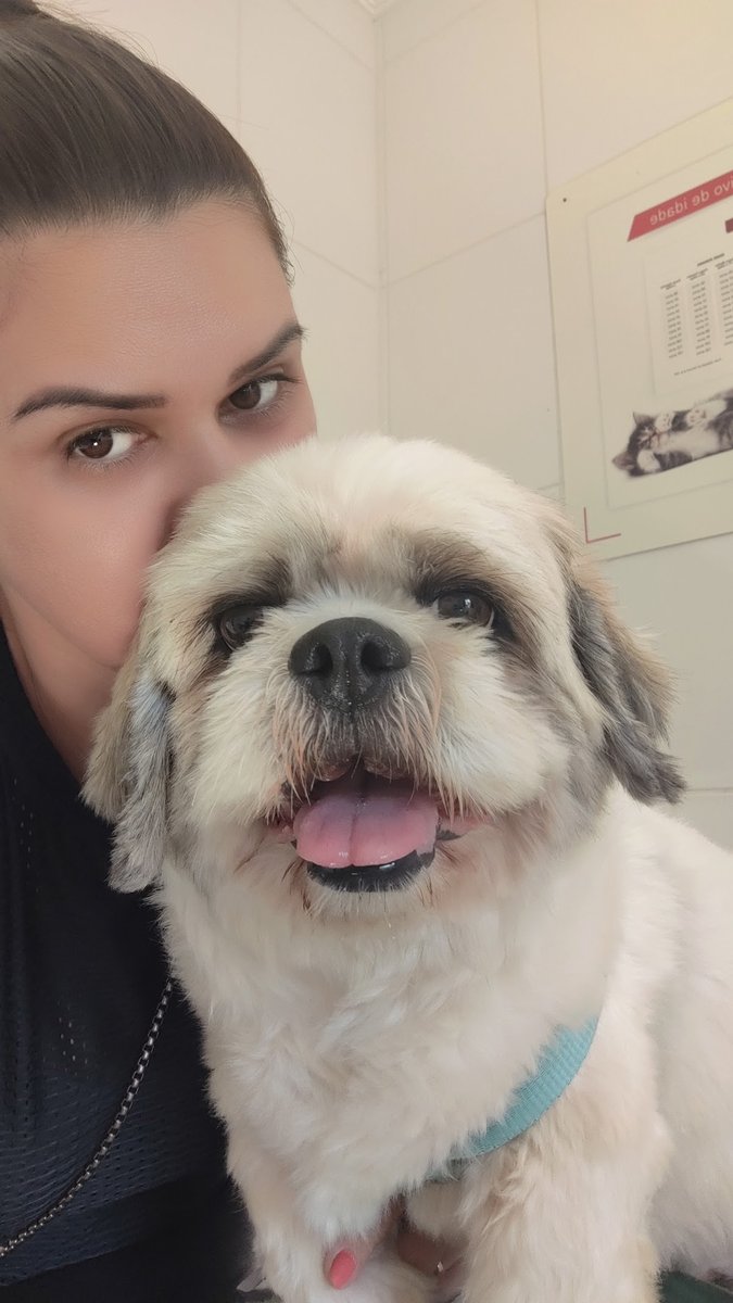 Consultório Veterinário