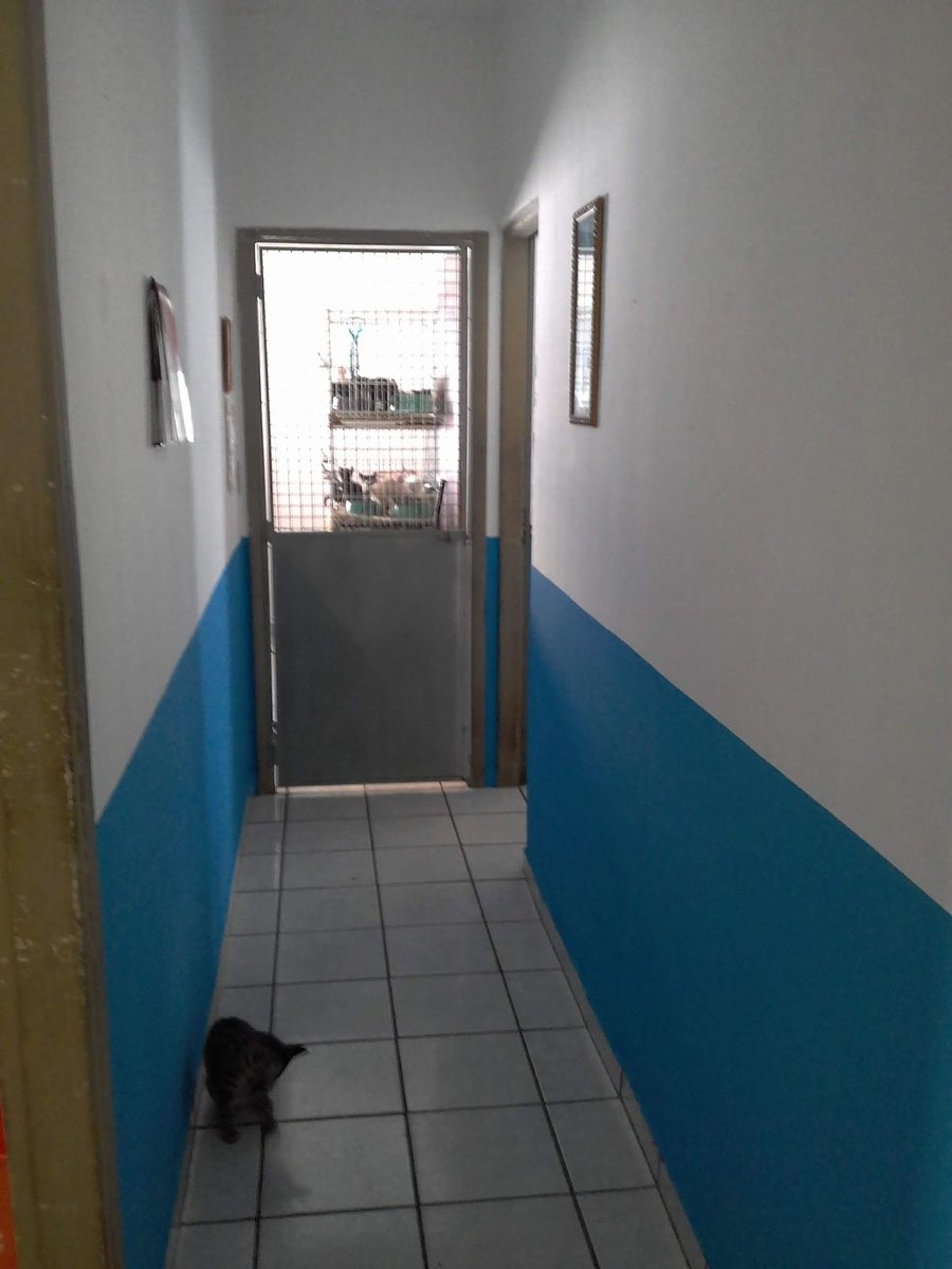 ASF Arca de São Francisco - Pet Shop em São Carlos