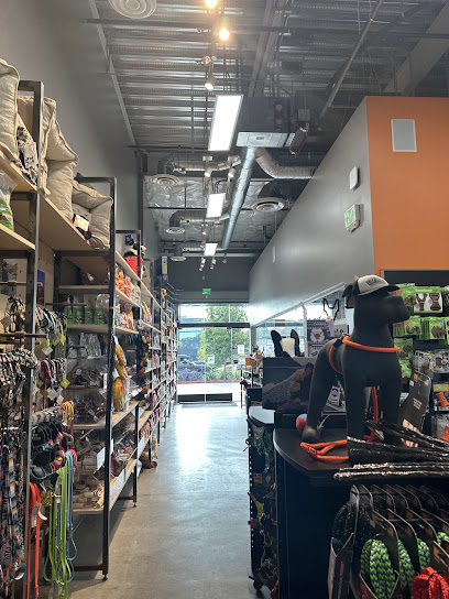Dirty Dogs Del Mar Highlands - Pet Shop in San Diego