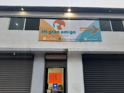 Mi Gran Amigo Hospital Animal