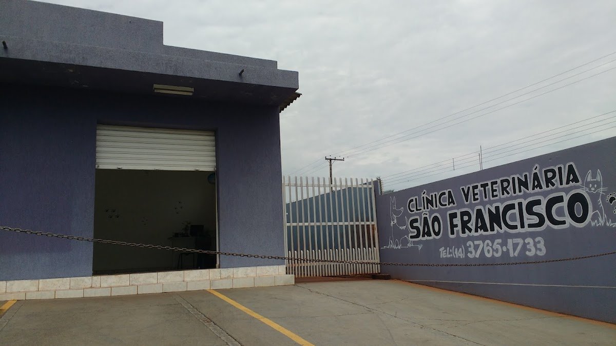 Veterinary Clinic San Francisco