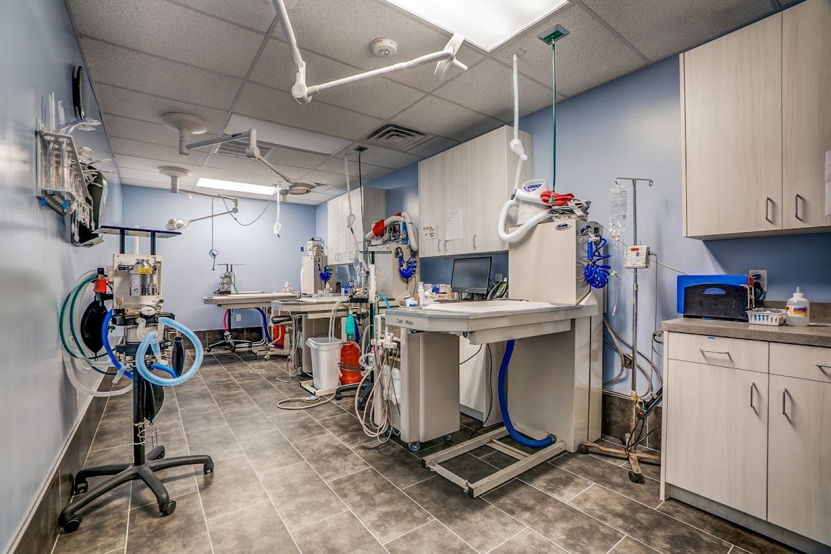 Hillside Veterinary Clinic - Photo 2