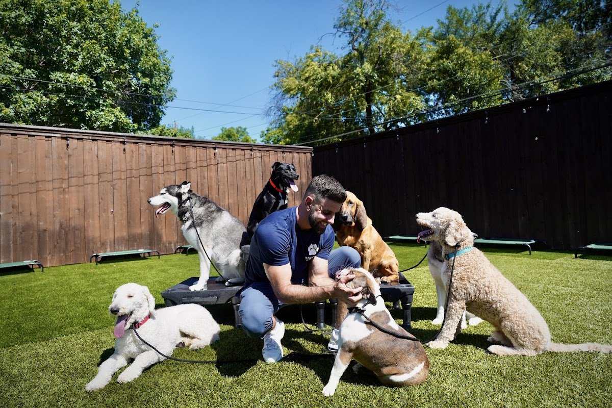 Starr Dog Behavior - Photo 2