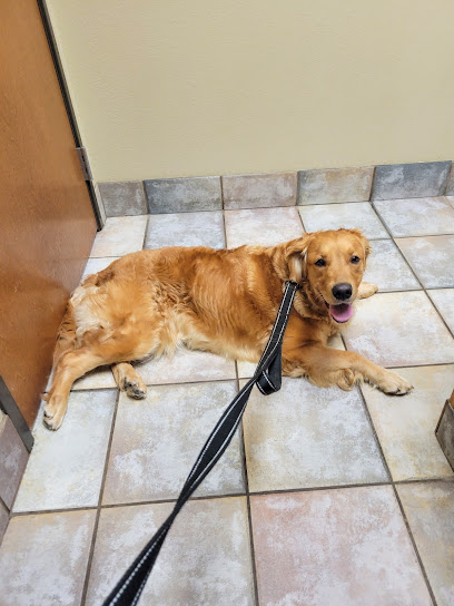 VCA Bent Tree Animal Hospital