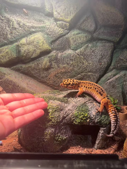 Wise Choice Pet Services