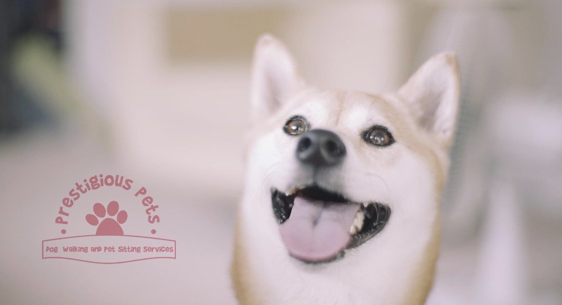 Prestigious Pets - Photo 2