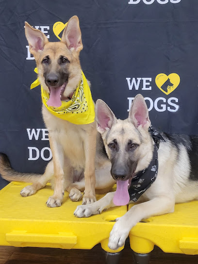 Tip Top K9 Dallas Dog Training - Pet Shop in Dallas
