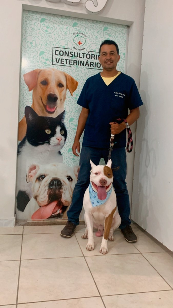 Pet Company Clínica Veterinária