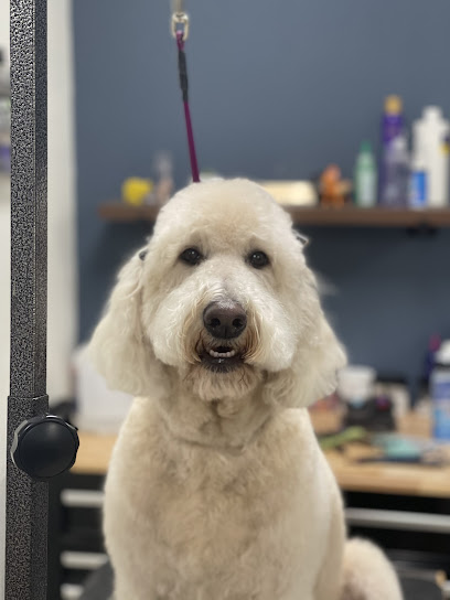 Perrita Bonita Pet Grooming