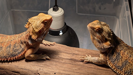 San Jose Reptile Show (June 13 & 14)