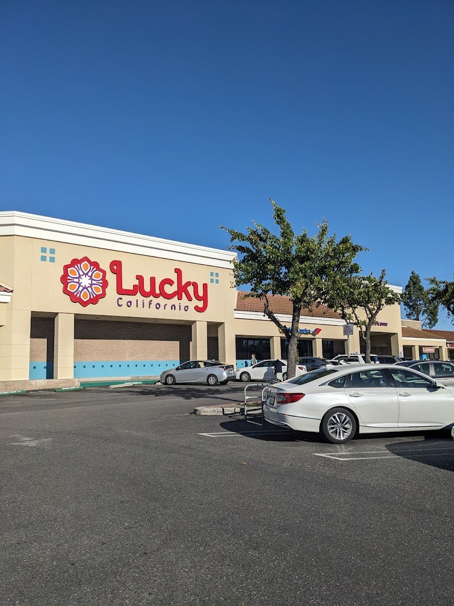 Lucky - Photo 2