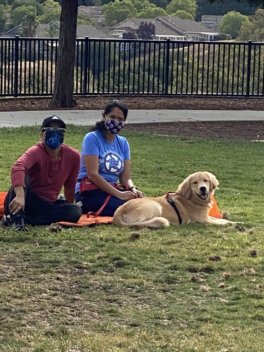 D For Dogz - Photo 2