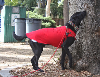 Palo Alto Dog Training, LLC - Pet Shop in San Jose