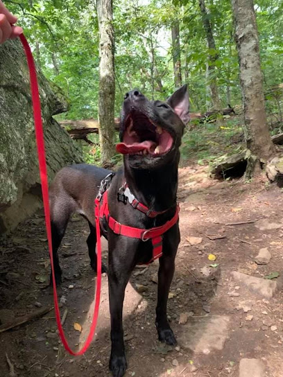 Gr8ful Paws Pet Care, LLC