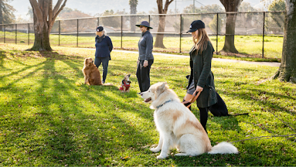 Sit Means Sit Dog Training - San Jose