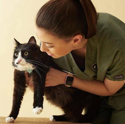 4 Paws Professional Pet Care, LLC