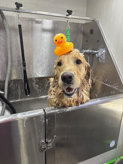 Pup Spa - Pet Shop in San Jose