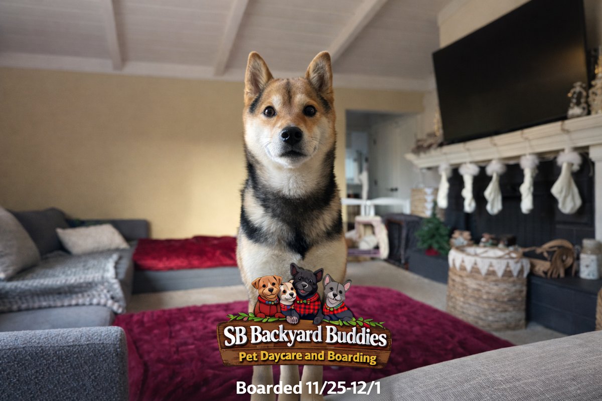 SB Backyard Buddies - Photo 2