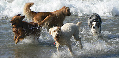 Robin's Nest Pet Care