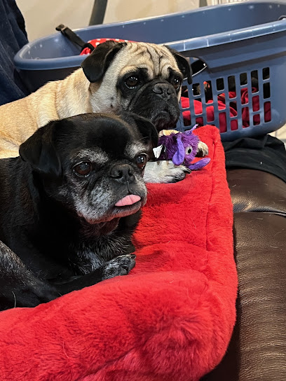 Tansie's Pet Sitting