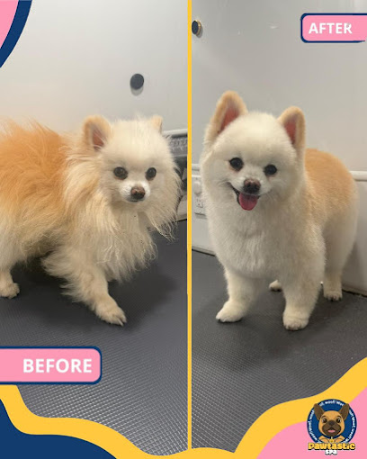 Pawtastic Spa - Pet Shop in San Jose