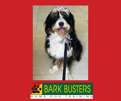 Bark Busters Home Dog Training Santa Clara County West - Pet Shop in San Jose