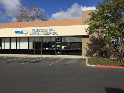 VCA Blossom Hill Animal Hospital - Pet Shop in San Jose