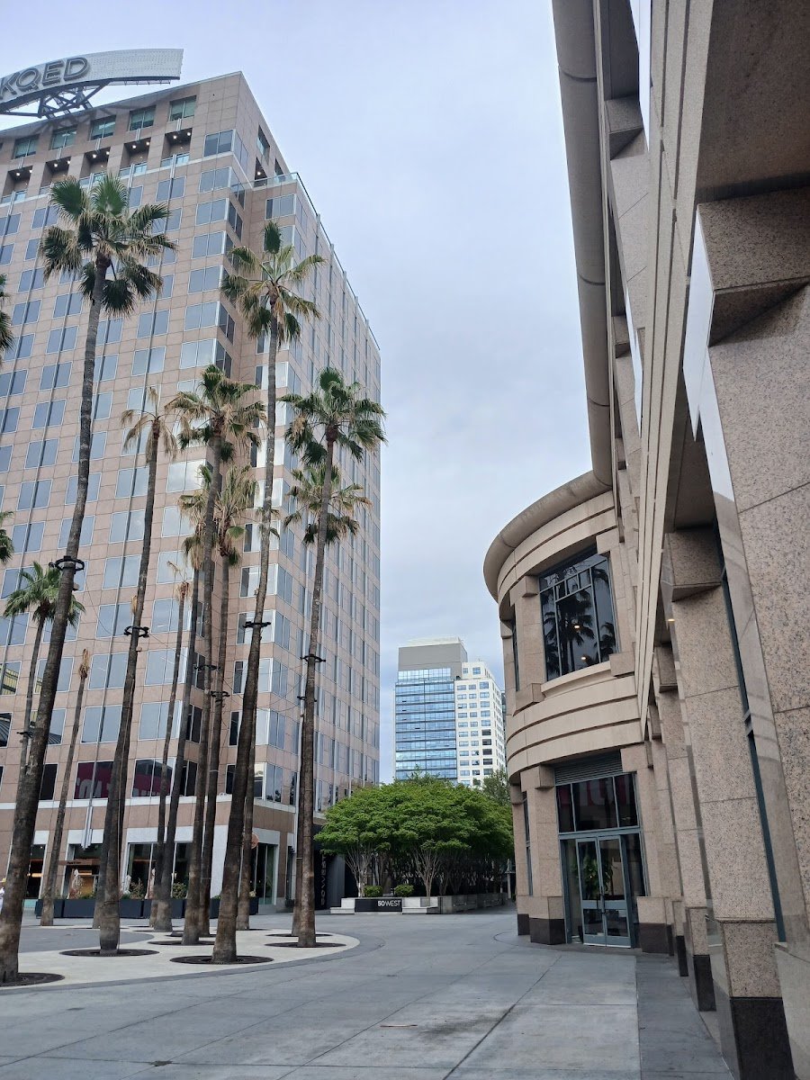 Downtown Dogs - Photo 2