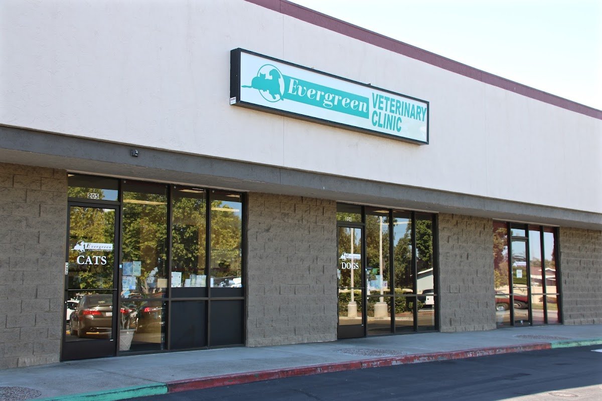 Evergreen Veterinary Clinic - Photo 2