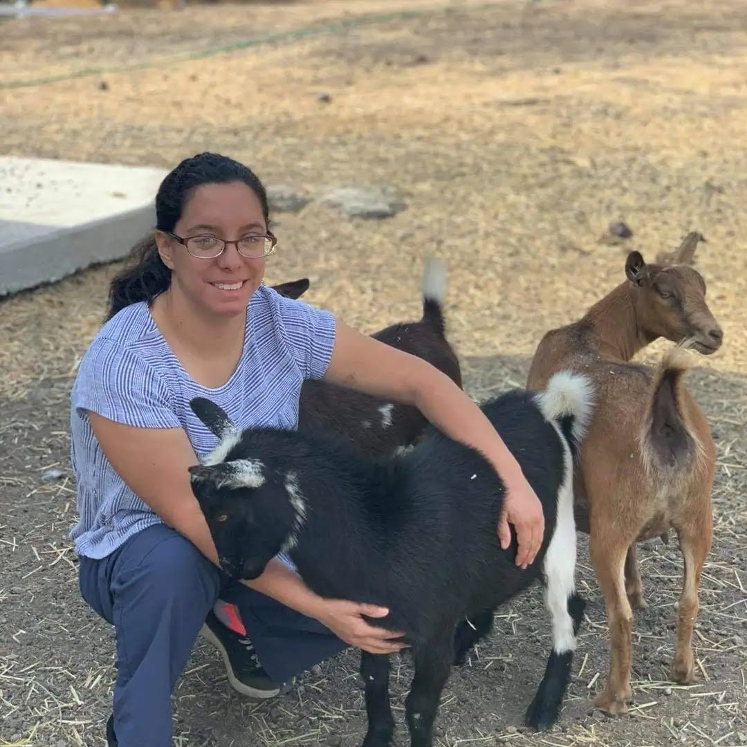 Rachel Ramos Pet Sitting - Photo 2