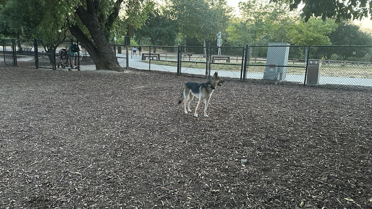 Selma Olinder Park - Photo 3