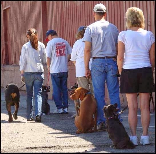 AC Dog School - Photo 2