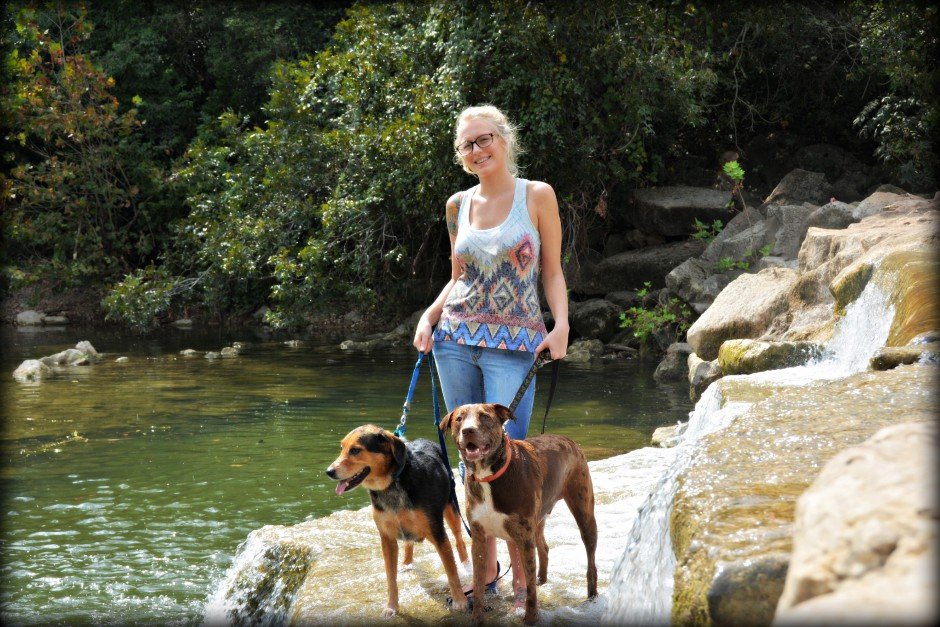 The Pet Gal - Photo 2