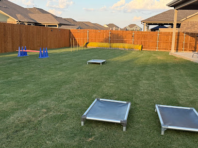 Trained by Tiffany - Dog Trainer Liberty Hill