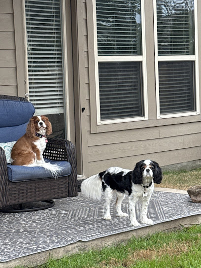 Fluffy Butts Pet Care