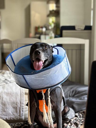 This Must Be The Place