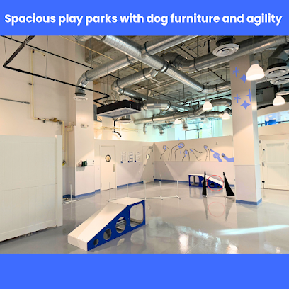 Dogdrop Dog Daycare East Austin