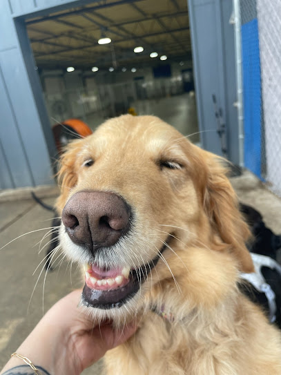 Jackie's Play & Stay