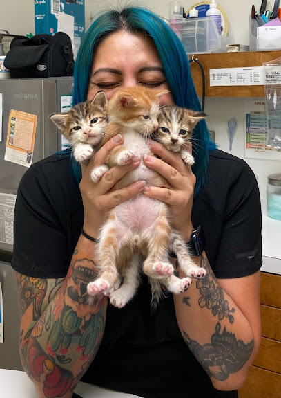 West Lynn Veterinary Clinic