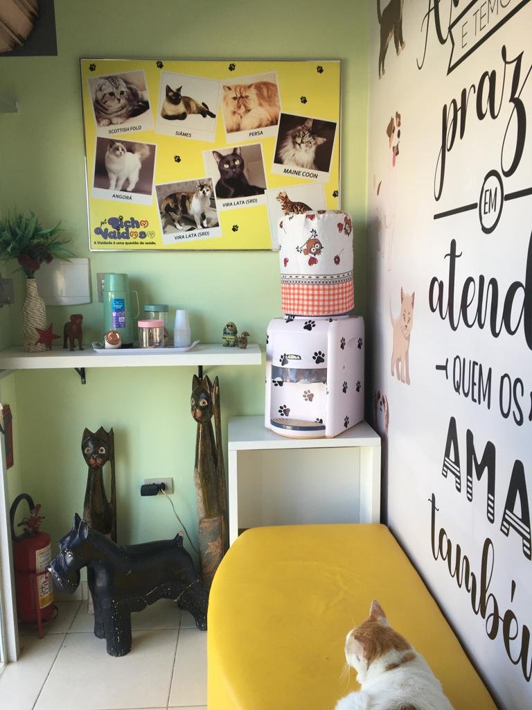 Pet Shop Bicho Lindo