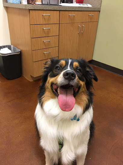 South Park Animal Hospital