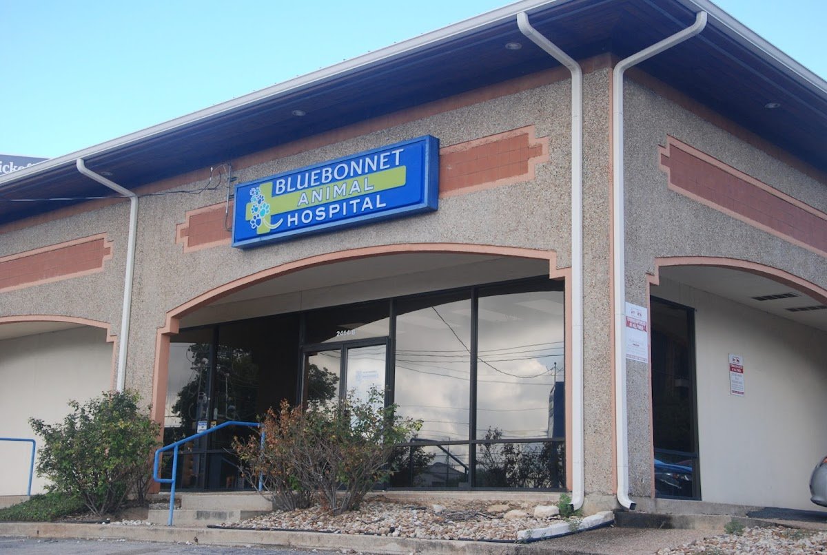 Bluebonnet Animal Hospital - Photo 2