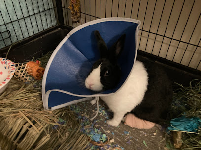 Westgate Pet & Bird Hospital