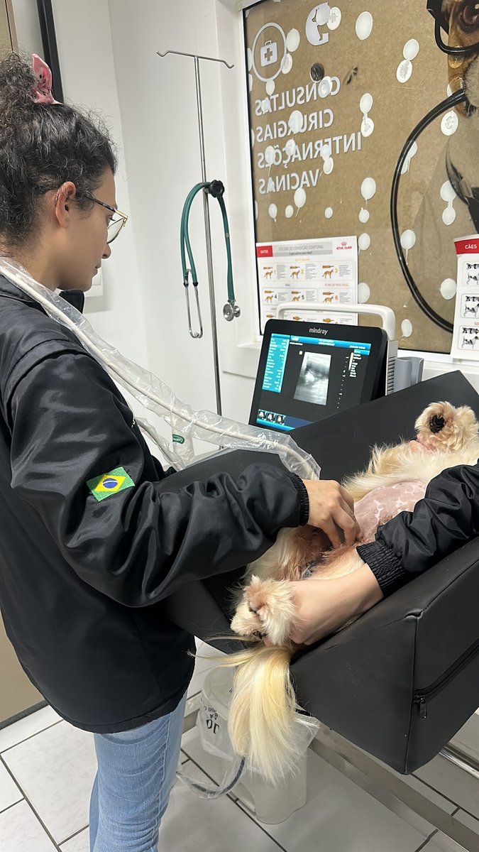 Della Vet Clinica Veterinária e Pet Shop - Pet Shop em Orleans