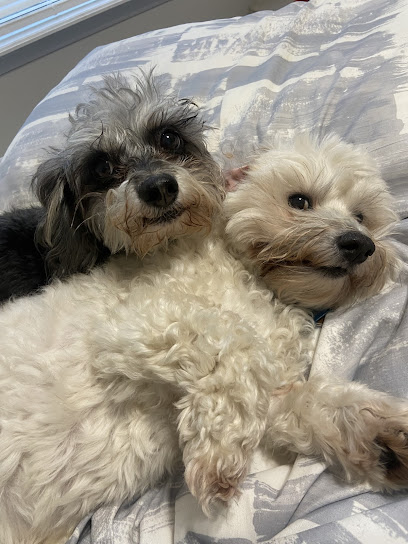 Pawsitive Pet Care FL, LLC.